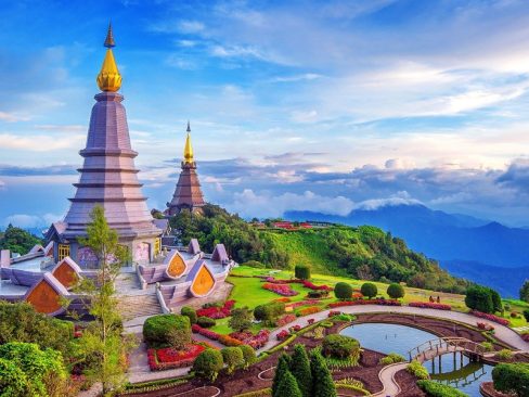 ĐÓA HỒNG PHƯƠNG BẮC THÁI LAN CHIANG MAI – CHIANG RAI